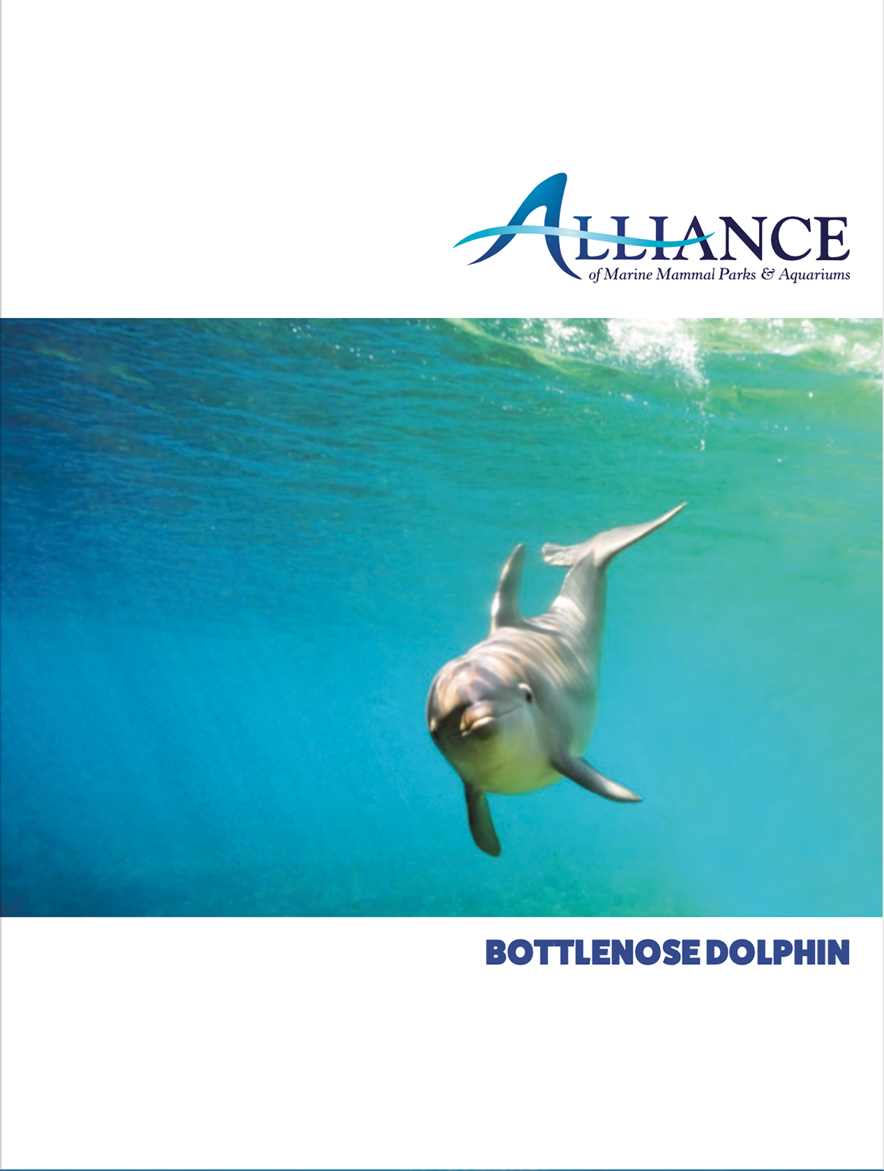 Alliance Fact Sheet - Bottlenose dolphin