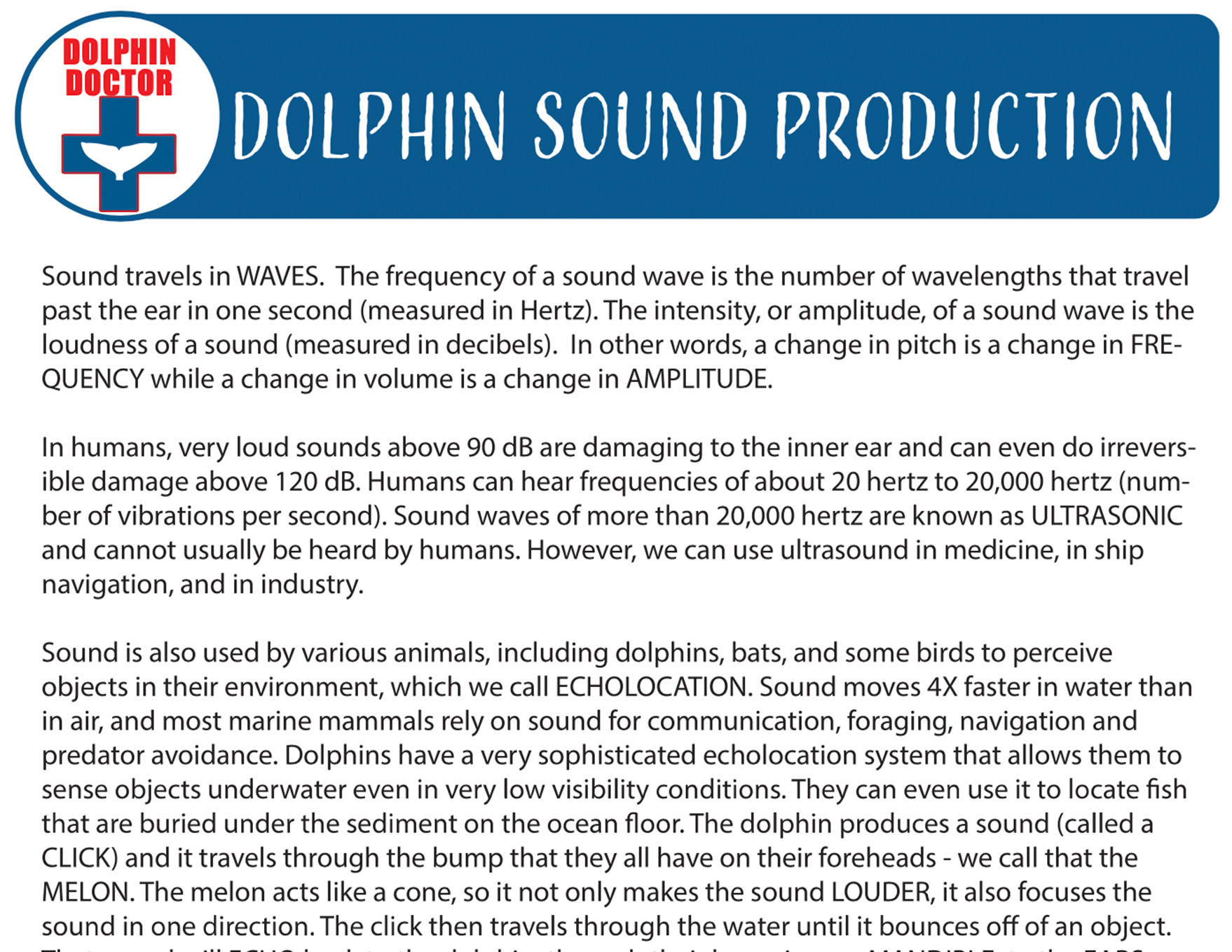 Learn how dolphins produce sound