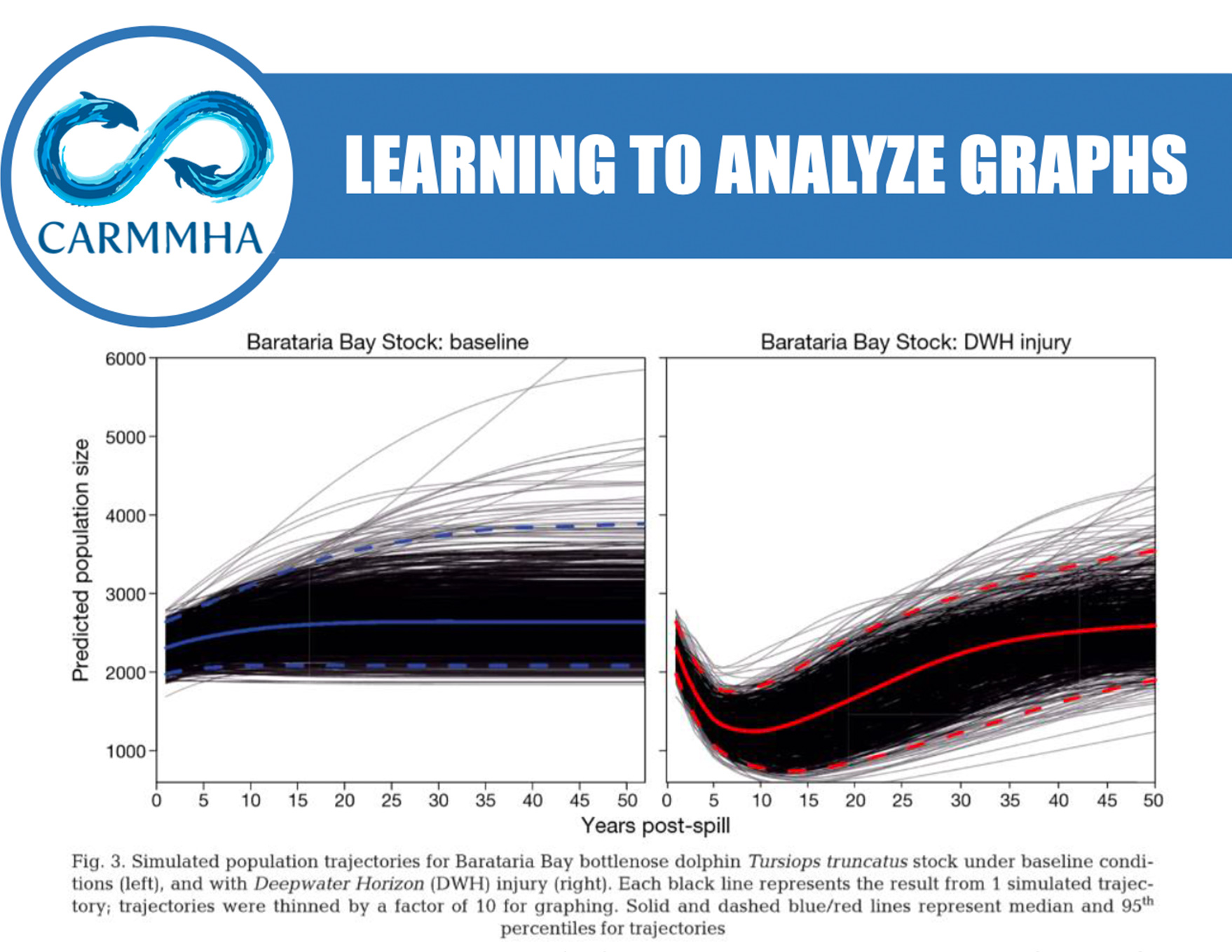 Analyze graphs related to dolphin populations trajectories