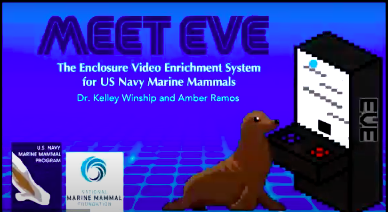 Meet EVE: The Enclosure Video Enrichment System