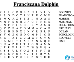 Franciscana Word Search