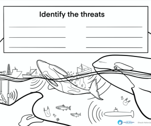 Identify the Threats (preview)