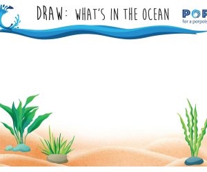 Draw What's in our Ocean - POP for a Porpoise