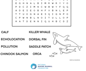 SRKW Word Search (preview)