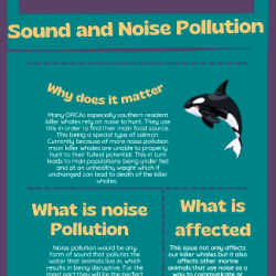 Southern Resident Killer Whale Infograph - by Miguel M.