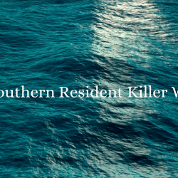Southern Resident Killer Whale Youth Action Council