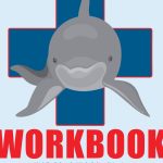 Dolphin Doctor Workshop